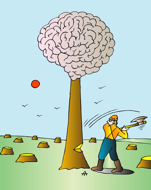 Cutting down the Brain