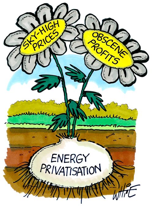 Energy Privatisation