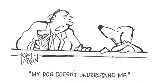 "My dog doesn't understand me."