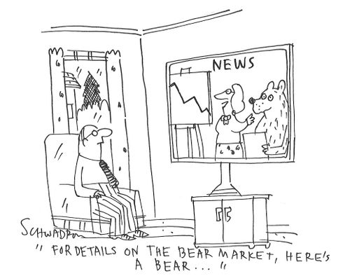 "For details on the bear market, here's a bear..."