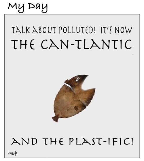Ocean Plastic blues