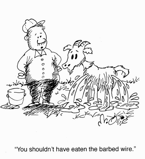 "You shouldn't have eaten the barbed wire."