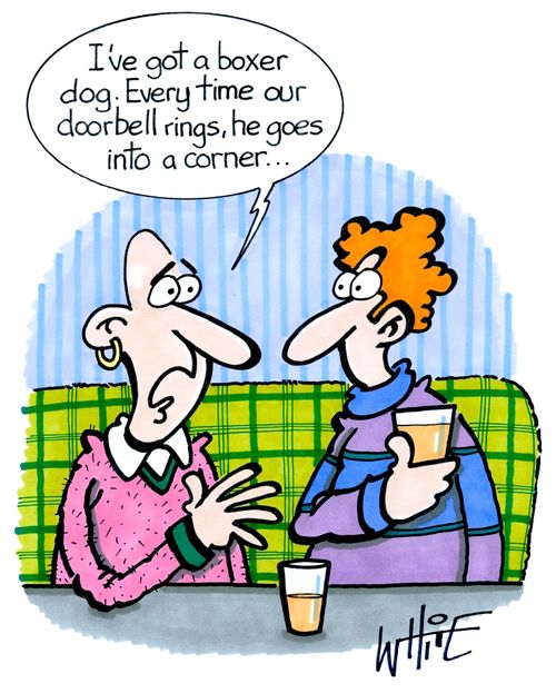 "I've got a boxer dog. Every time our doorbell ring, he goes into a corner..."