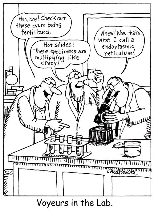 Voyeurs in the Lab