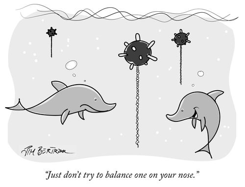 "Just don't try to balance one on your nose."