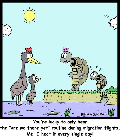 "You're lucky to only hear the 'are we there yet' routing during migration flights. Me, I hear it every single day!"