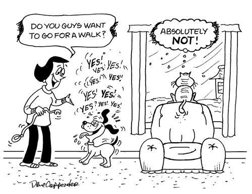 "Do you guys want to go for a walk?"
