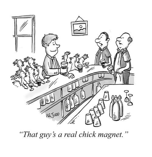 "That guy's a real chick magnet."