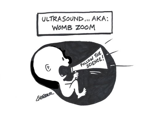 Ultrasound. . . AKA: Womb Zoom
