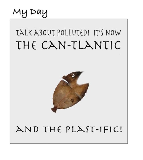 My Day - A fish talks about pollution & plastics
