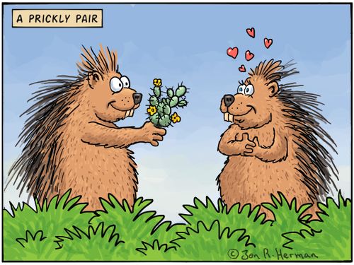 A Prickly Pair