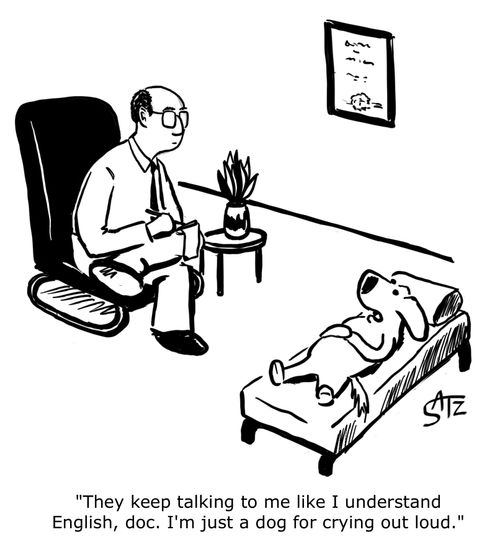 "They keep talking to me like I understand English, doc. I'm just a dog for crying out loud."