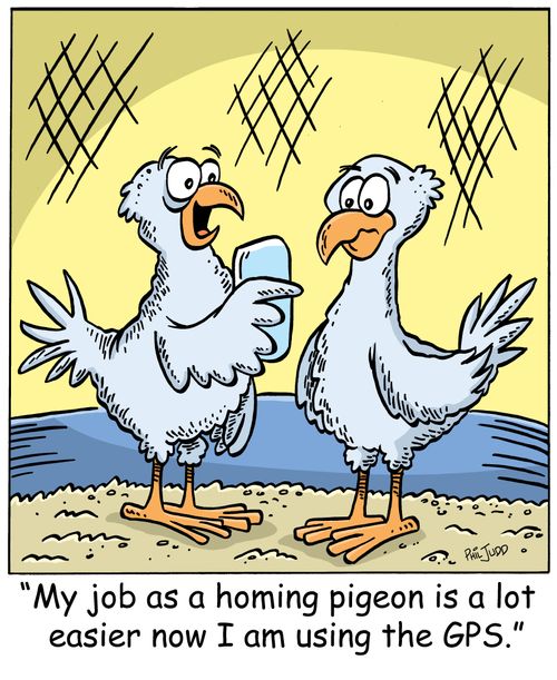 "My job as a homing pigeon is a lot easier now I am using the GPS."