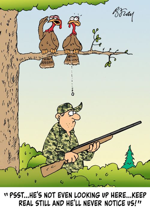 "Psst. . .he's not even looking up here....keep real still and he'll never notice us!"