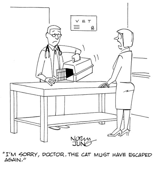 "I'm sorry, doctor. The cat must have escaped again."