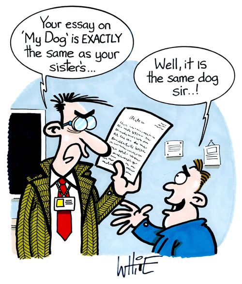 "Your essay on 'My Dog' is exactly the same as your sister's"