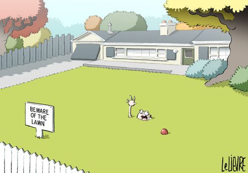 Beware of the lawn
