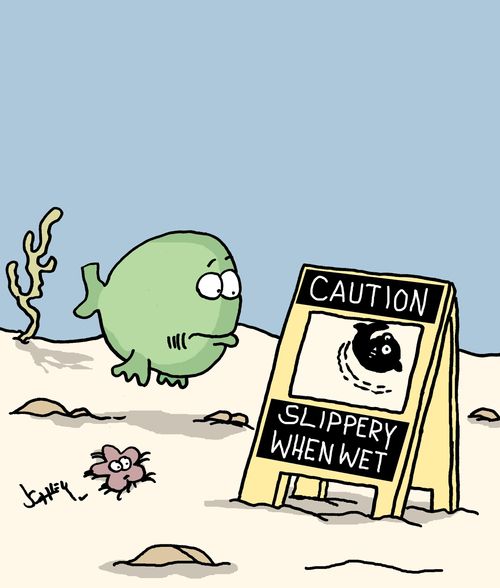 Caution!! Slippery When Wet.