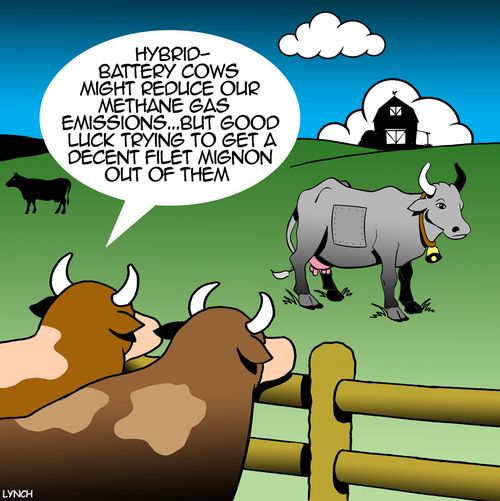 "Hybrid-battery cows might reduce our methane gas emissions...but good luck trying to get a decent filet mignon out of them."