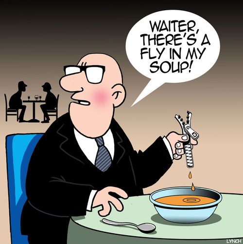 "Waiter, there's a fly in my soup!"