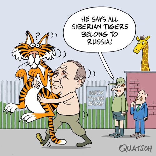 "He says all Siberian tigers belong to Russia!"