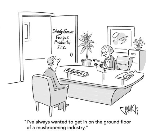 "I've always wanted to get in on the ground floor of a mushrooming industry."