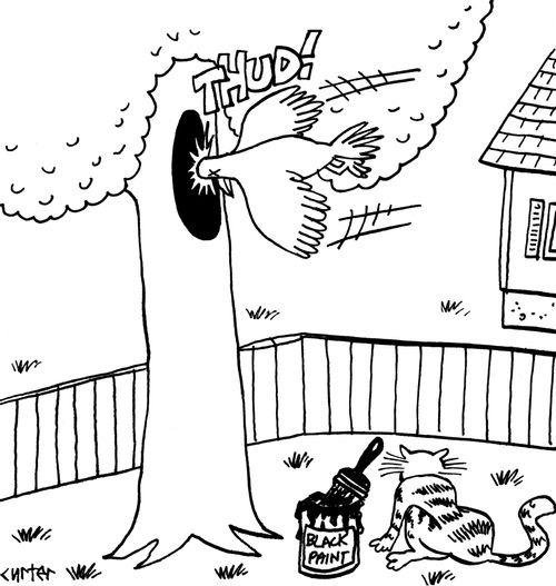 Cat Trick Birds
