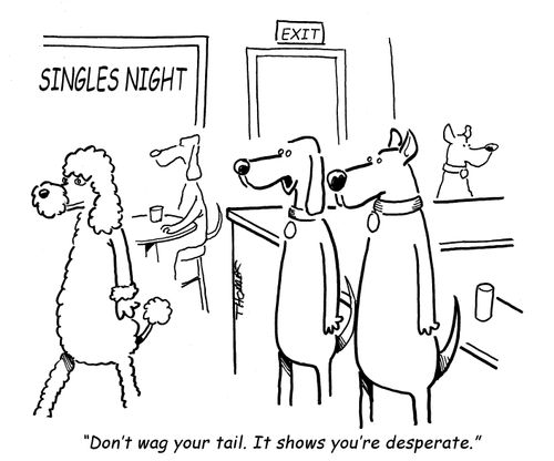"Don't wag your tail. It shows you're desperate."