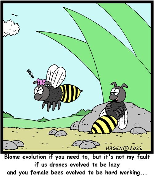 "Blame evolution ifyou need to, but it's not my fault if us drones evolved to be lazy and you female bees evolved to be hard working..."