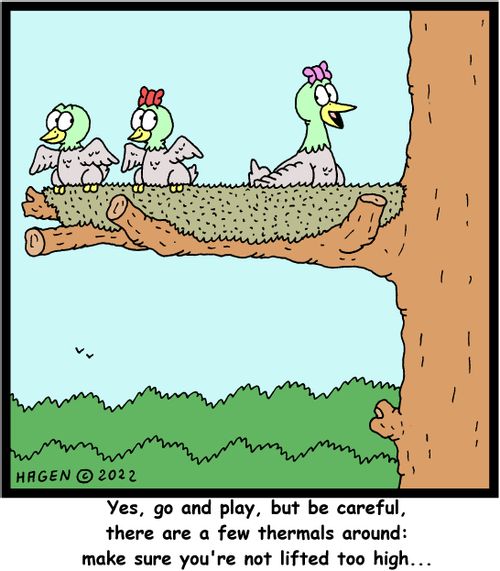 "Yes, go and play, but be careful, there are a few thermals around: make sure you're not lifted too high..."