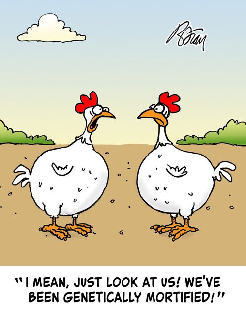 "I mean, just look at us! We've been genetically mortified!"