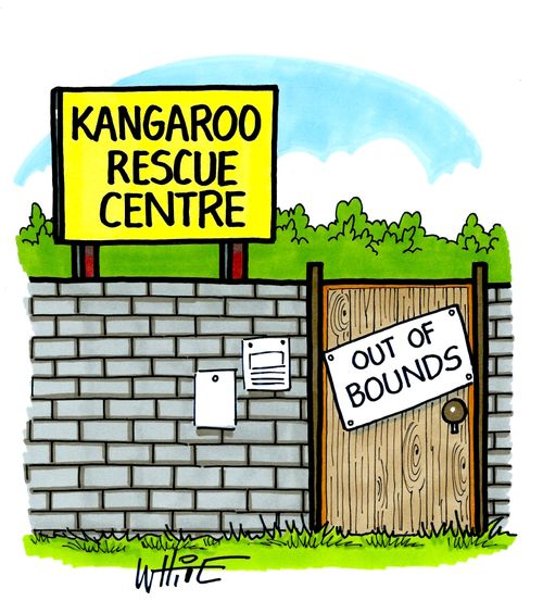 Kangaroo Rescue Centre