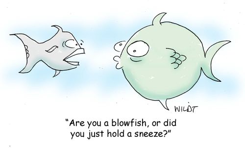 "Are you a blowfish, or did you just hold a sneeze?"