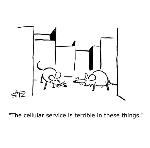 "The cellular service is terrible in these things."