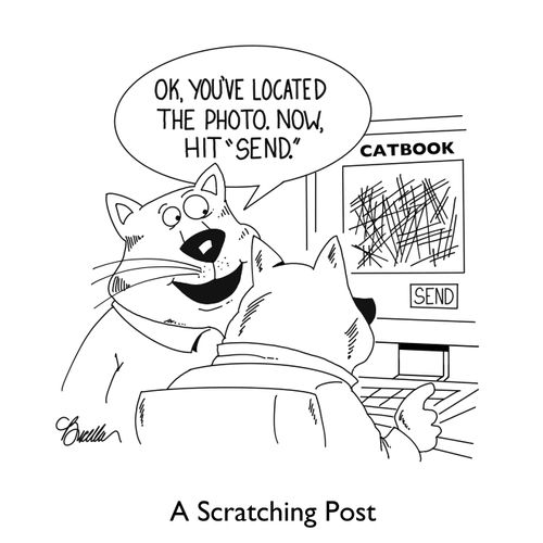 A Scratching Post
