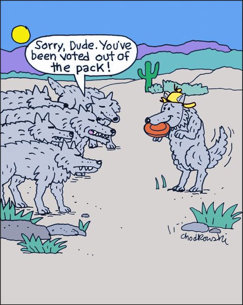 "Sorry, dude. You've been voted out of the pack!"