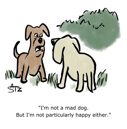 "I'm not a mad dog. But I'm not particularly happy either."
