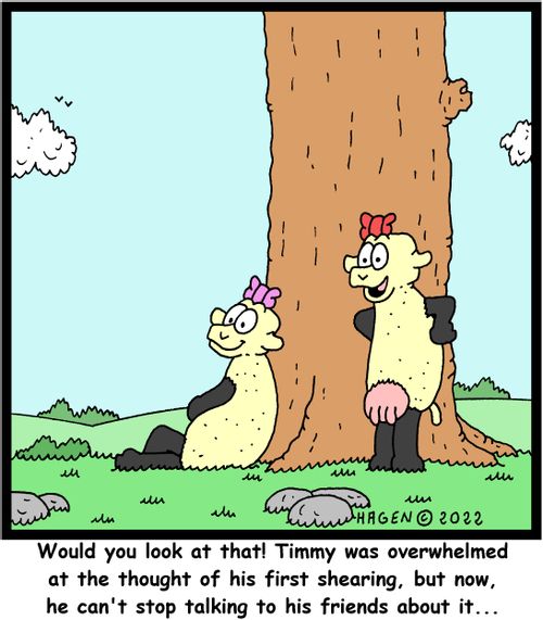 "Would you look at that! Timmy was overwhelmed at the thought of his first shearing, but now, he can't stop talking to his friends about it. . ."