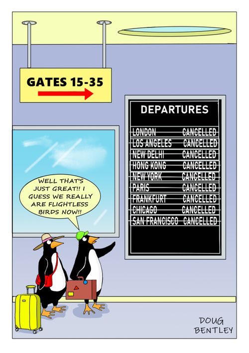"Well that's just great!! I guess we really are flightless birds now!!"