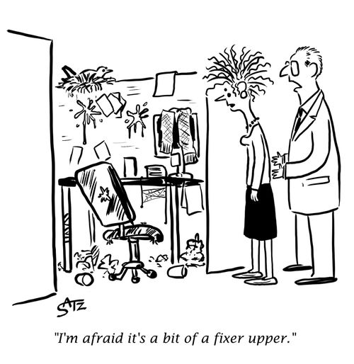 "I'm afraid it's a bit of a fixer upper."