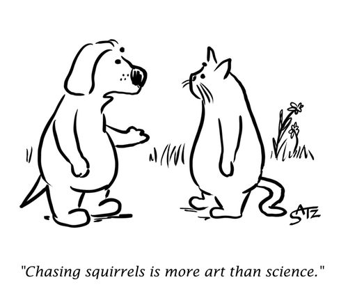 "Chasing squirrels is more art than science."