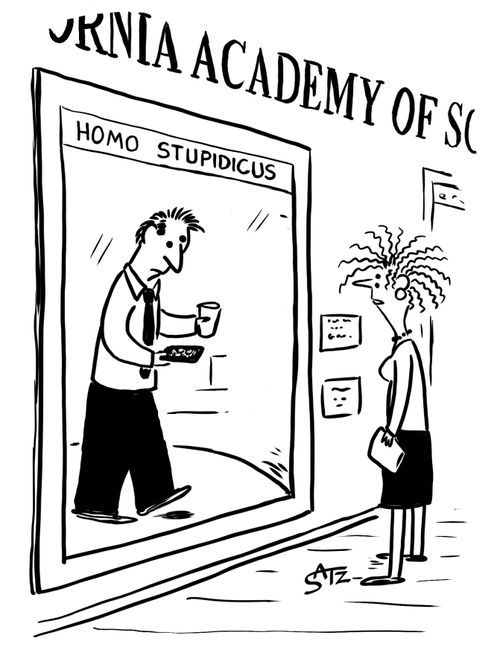 Evolution Homo Sapiens museum intelligence.