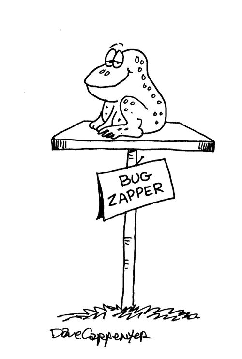 Bug Zapper