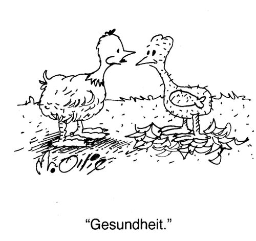 "Gesundheit!"
