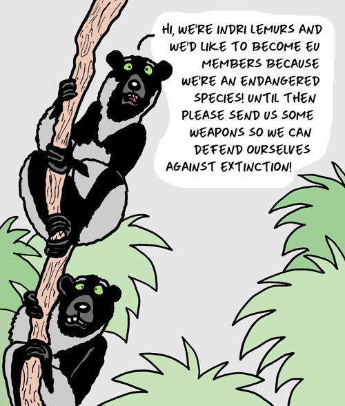 "Hi, we're Indri Lemurs and we'd like to become EU members because we're an endangered species! Until then please send us some weapons so we can defend ourselves against extinction!"