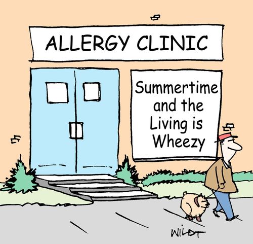 Allergy Clinic: Summertime and the Living is Wheezy.