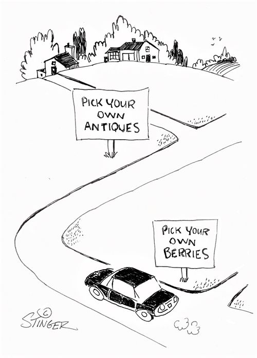 Pick Your Own Berries