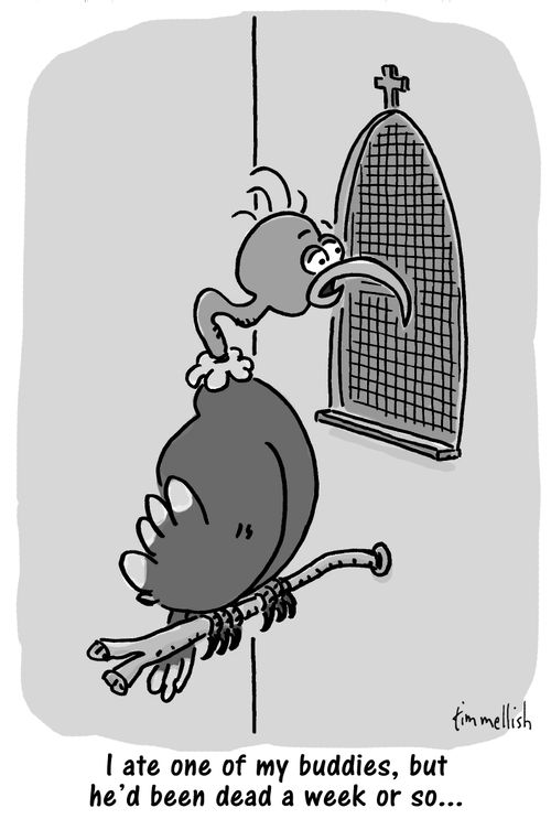 "I ate one of my buddies, but he'd been dead a week or so..."