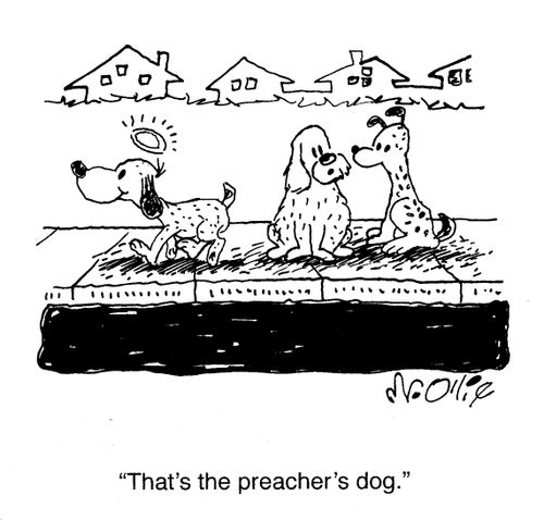 "That's the preacher's dog."