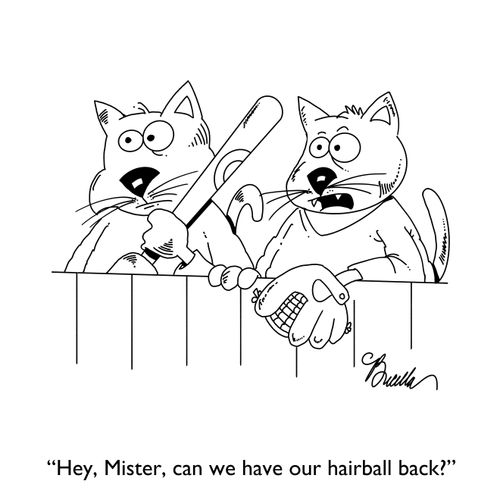 "Hey, Mister, can we have our hairball back?"